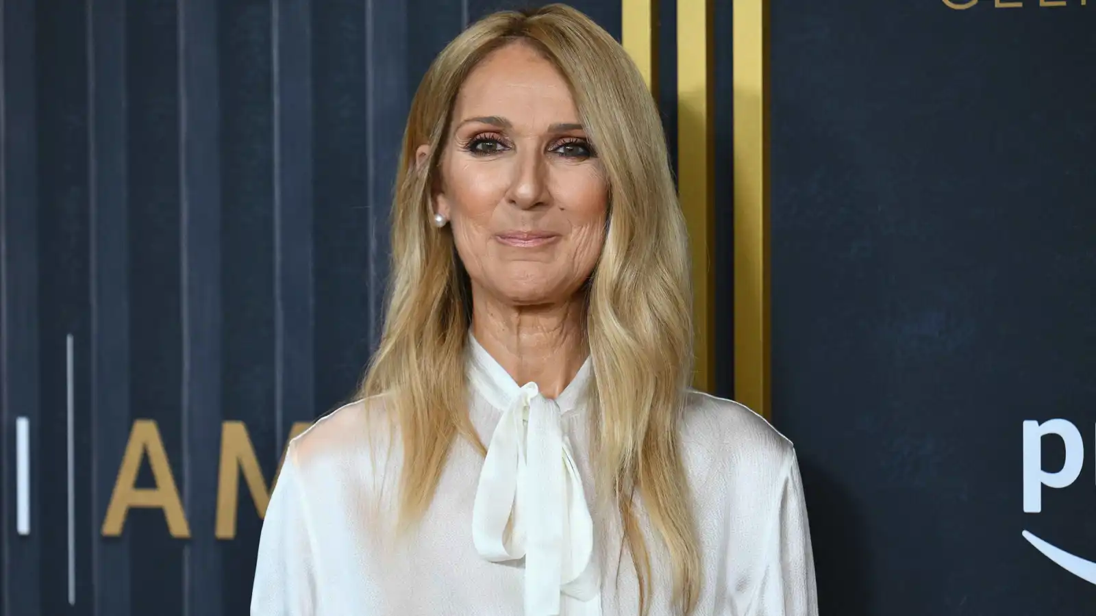 سيلين ديون بظهور نادر في حفل بول مكارتني (صور)