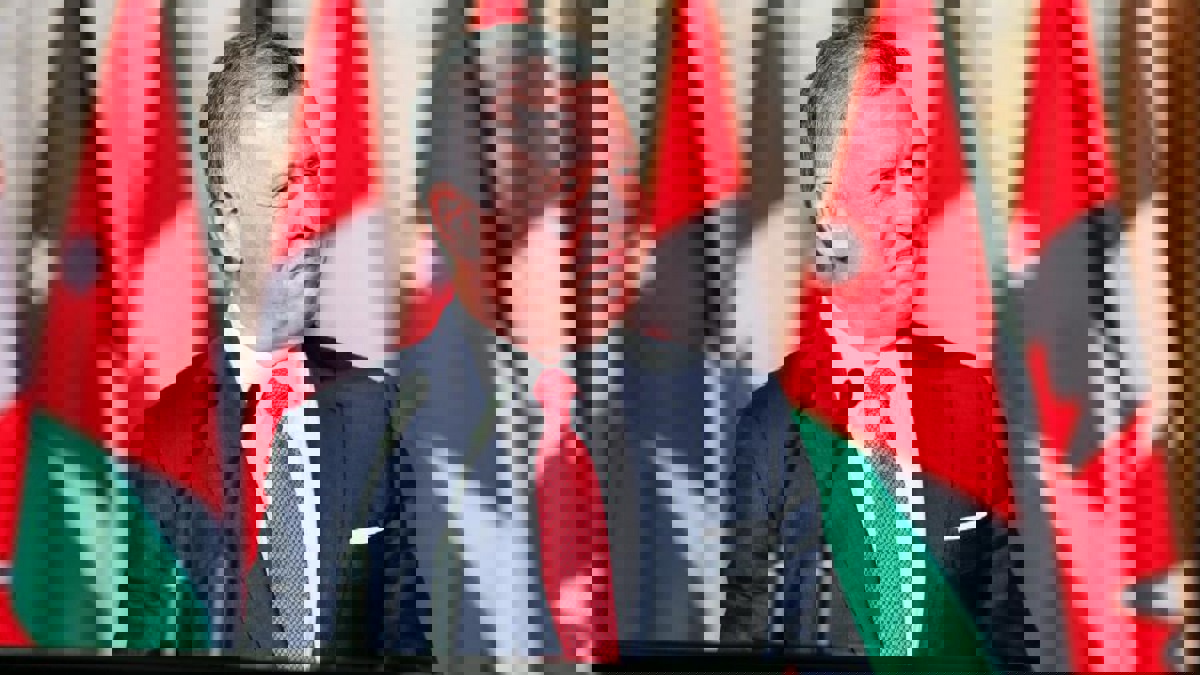 مباراة سوريا والأردن.. الملك عبدالله يتابع اللقاء مع عامل (صور)