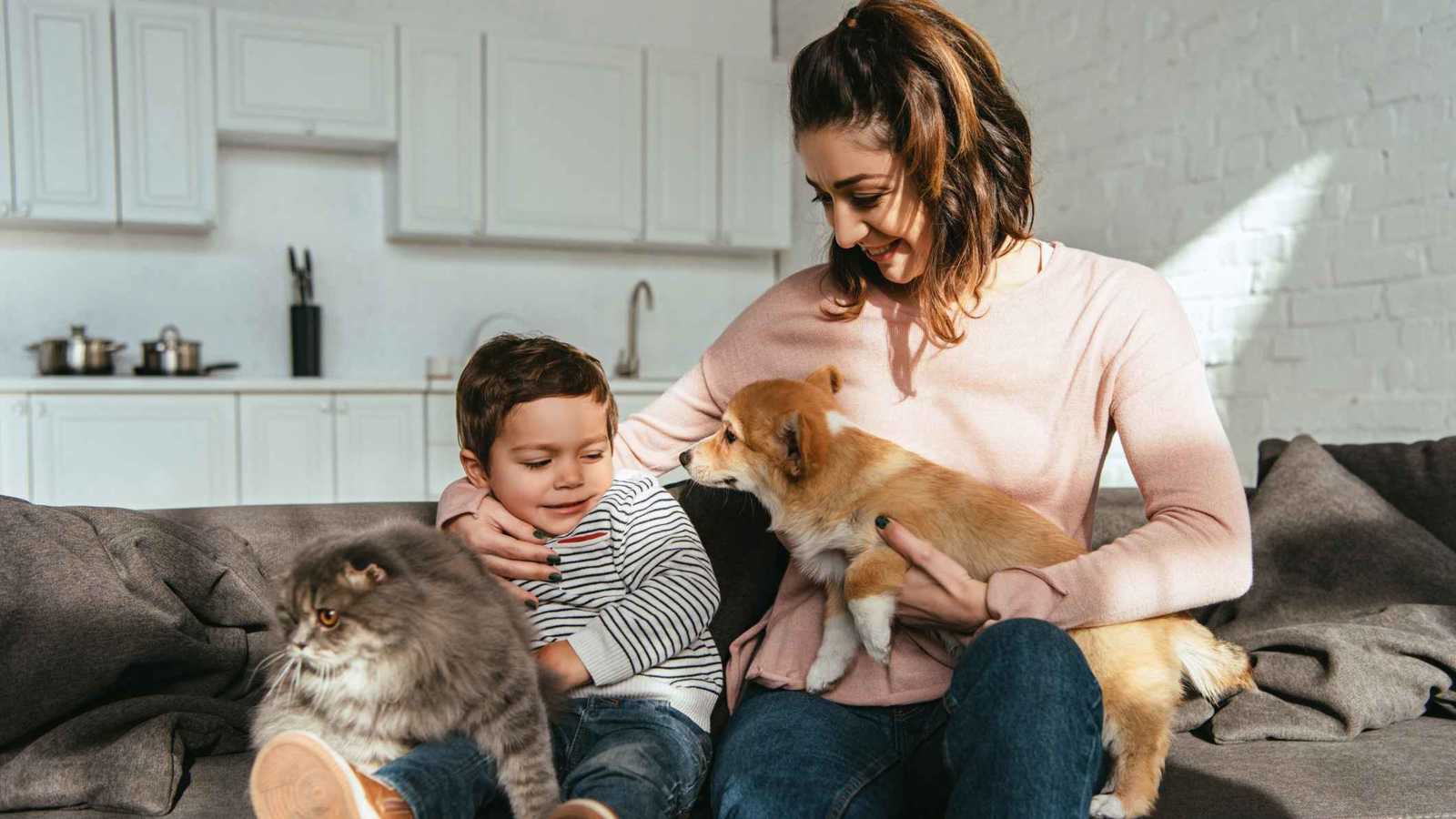 أسلوب "القط مقابل الكلب".. تعرّف على أحدث  ترندات تربية الأطفال