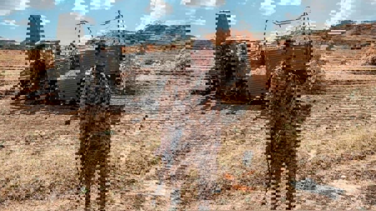 إثيوبيا.. متمردو تيغراي يعلنون تجدد القتال في "عفر"