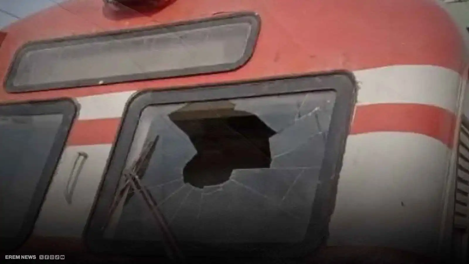 أوقف حركة القطارات في الهند.. نسر يقتحم الزجاج ويصيب السائق بجروح