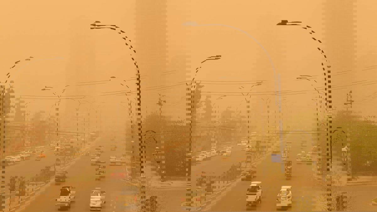 بعد "الموجة الغبارية".. مشروع "الحزام الأخضر" في العراق يعود إلى الواجهة