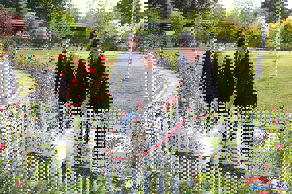 تُربى مع الذئاب.. ما خصائص سلالة الكلاب المهداة لبوتين؟ (فيديو)