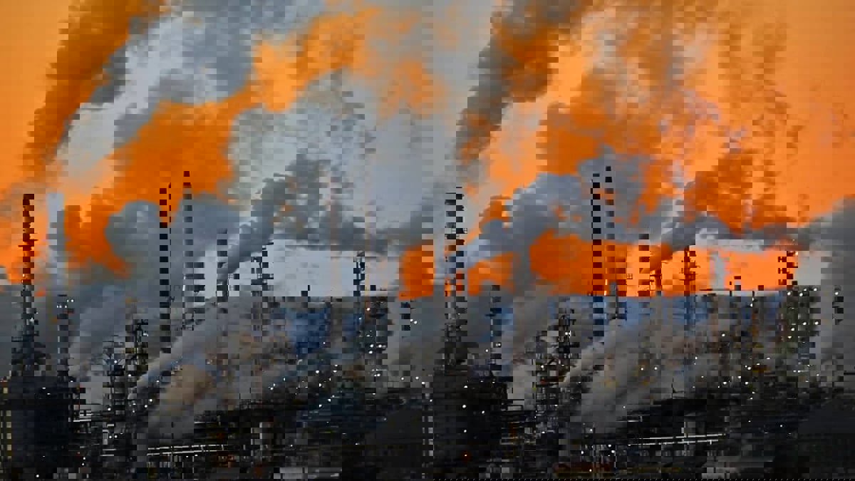 فلتر هواء صديق للبيئة يكافح التلوث بعوادم السيارات