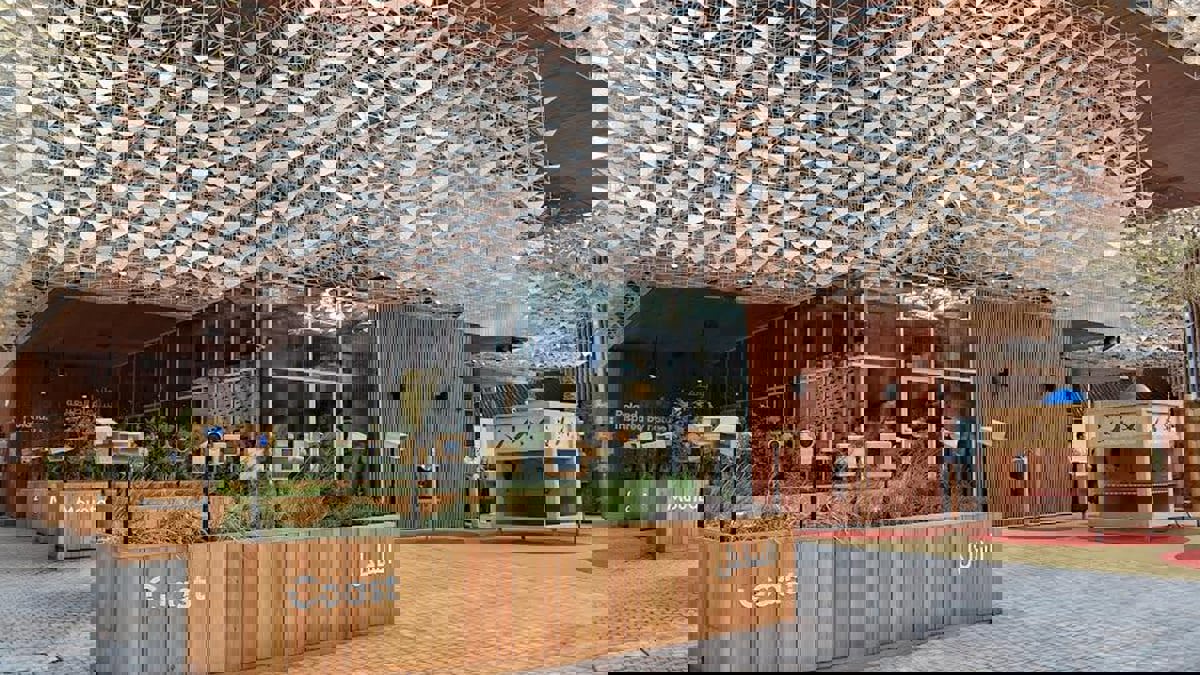 إكسبو دبي يعرض الطبيعة في بولندا.. منحوتات متحركة تجسد هجرة الطيور