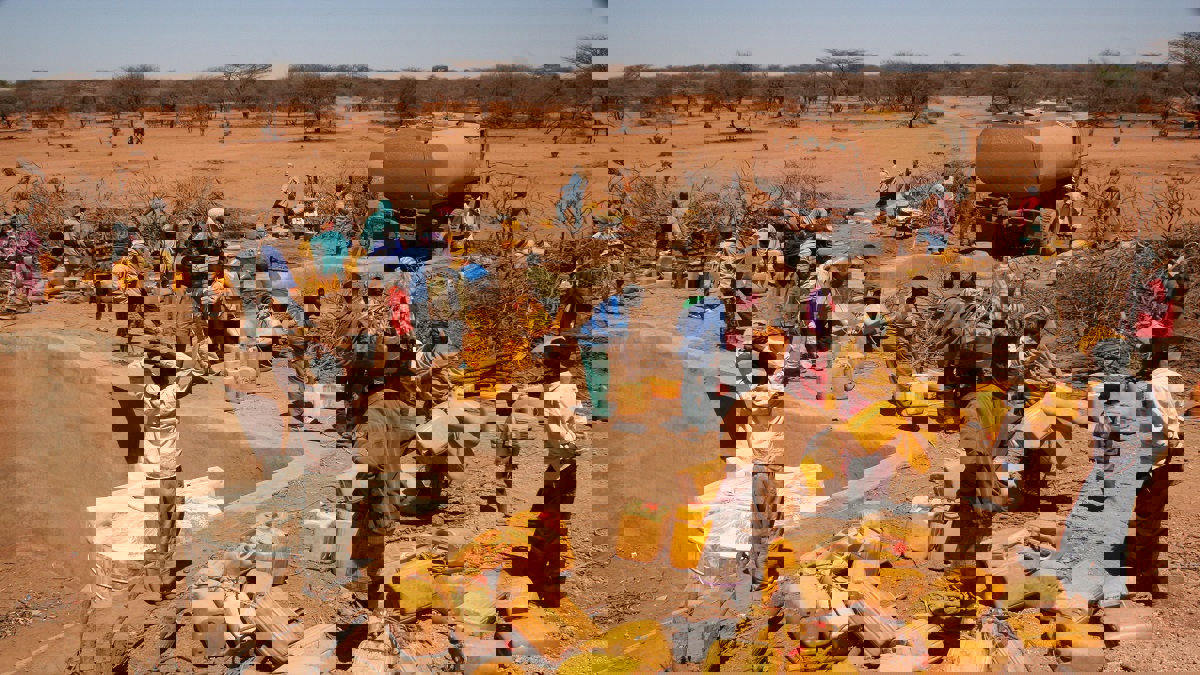 الأمم المتحدة: الجفاف يهدد 45 مليون نسمة بانعدام الأمن الغذائي في أفريقيا الجنوبية