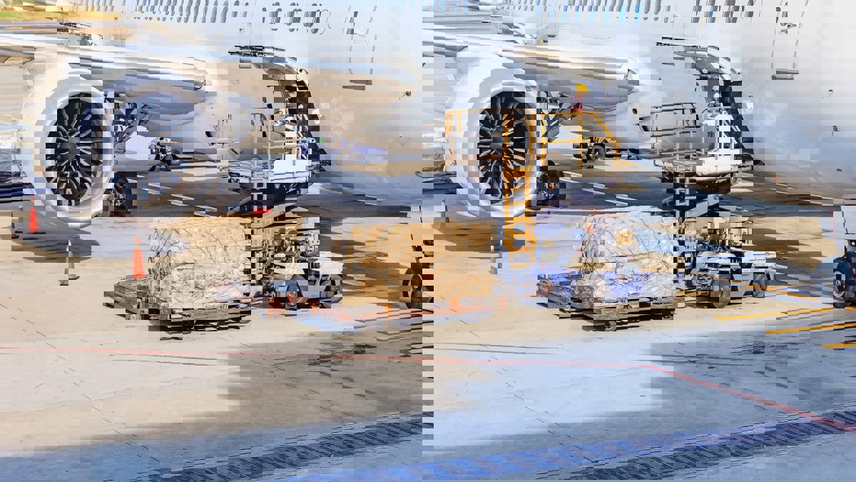 مشروع تجريبي لاستخدام النظارات الذكية في صناعة الشحن الجوي.. ما الذي سيتغير؟