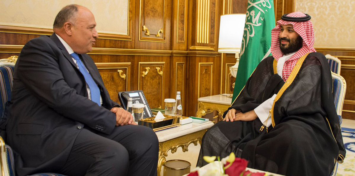 وزير الخارجية المصري يلتقي محمد بن سلمان لبحث سبل تعزيز الاستقرار في المنطقة