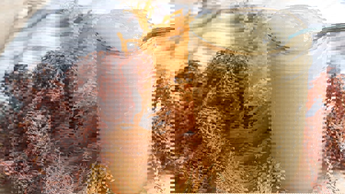 انتشرت على "تيك توك".. طحالب البحر الهلامية تثير قلق الأطباء (فيديو)