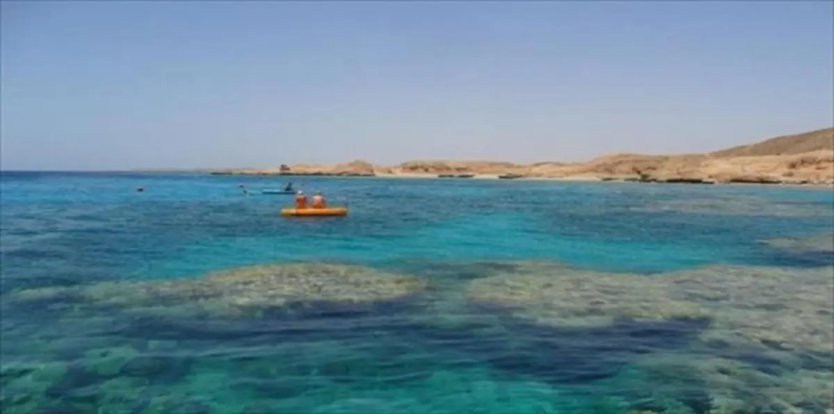 القضاء المصري وهستيريا تيران وصنافير!