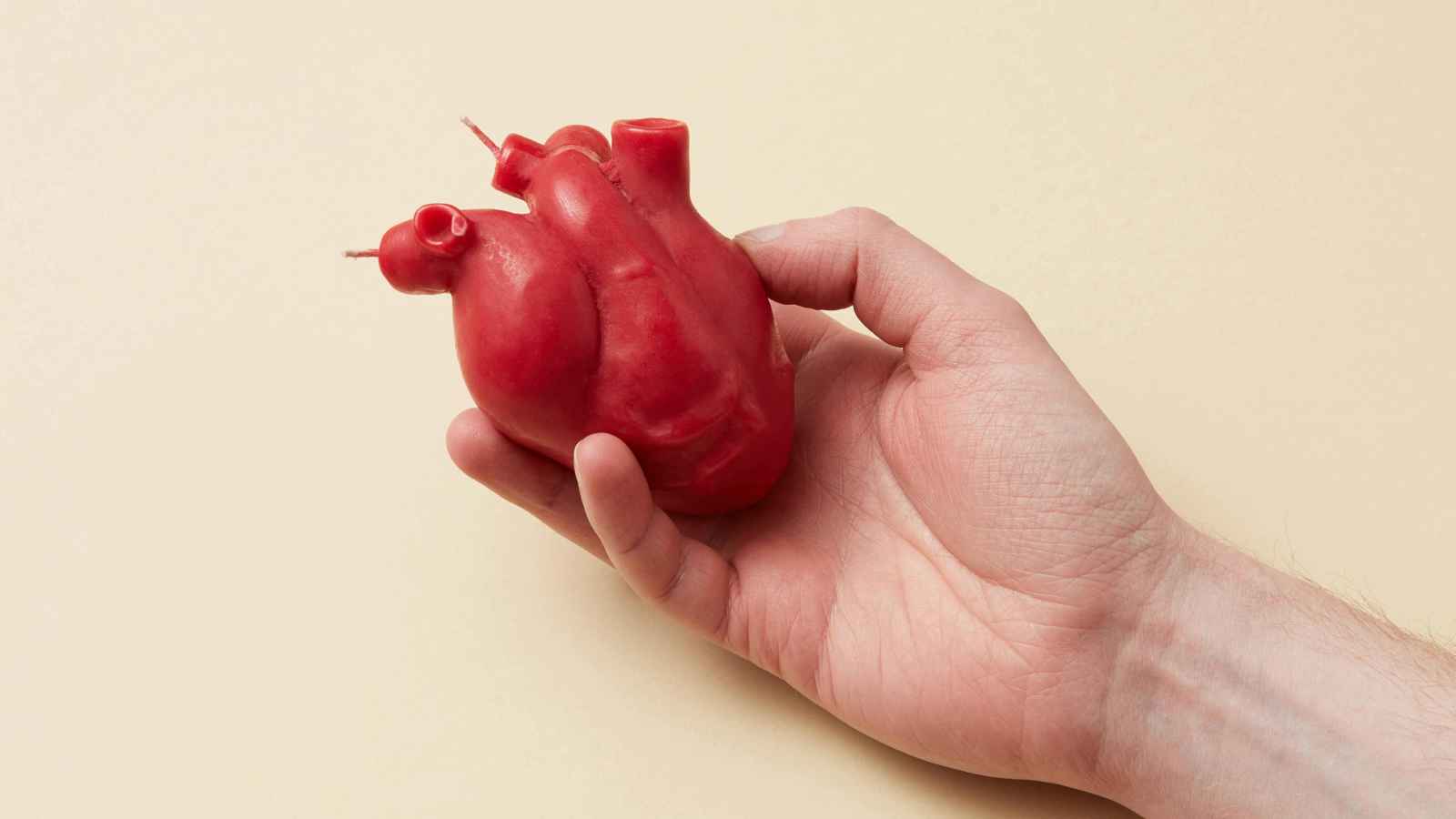 سلطنة عُمان تمنح وسامًا للمتبرعين بأعضائهم