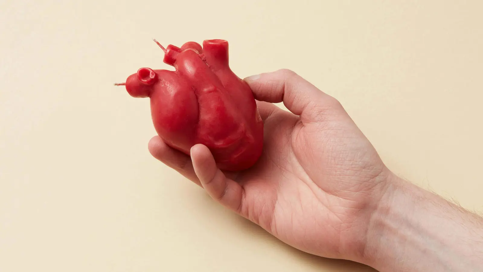 سلطنة عُمان تمنح وسامًا للمتبرعين بأعضائهم