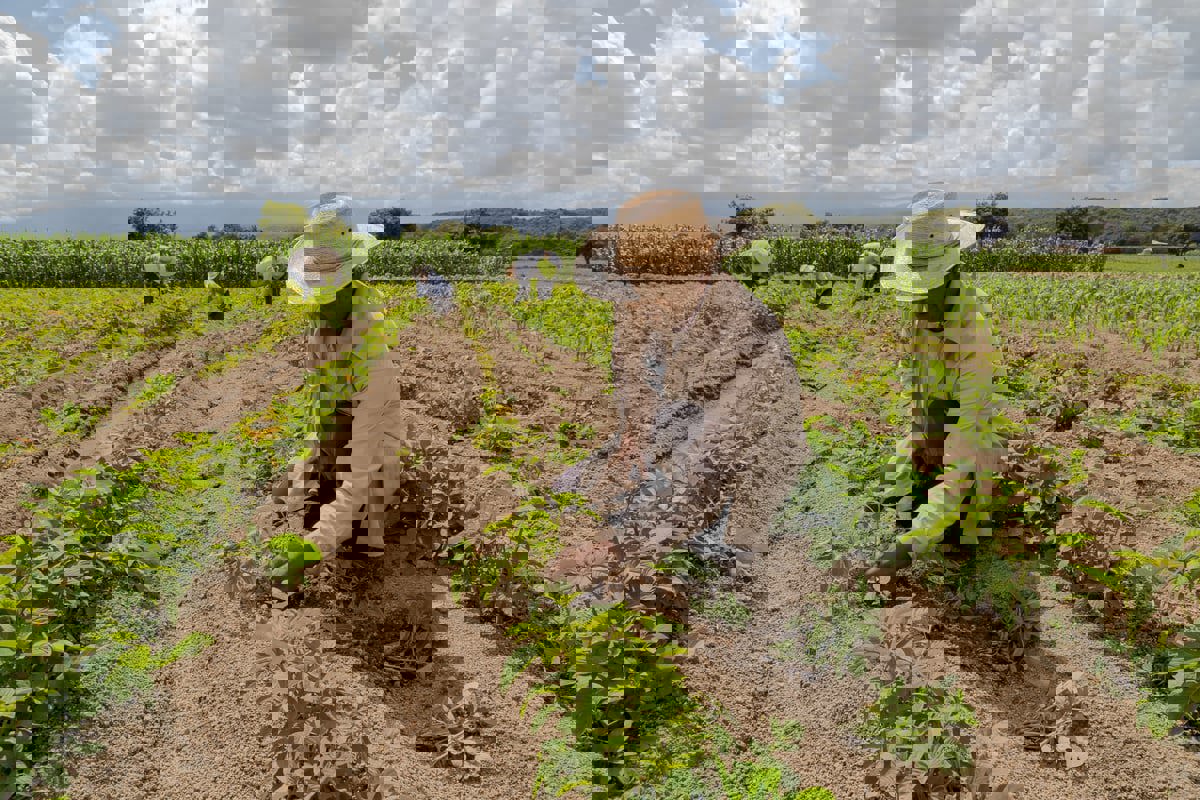 مبادرات مغربية تسعى للحد من آثار التغير المناخي