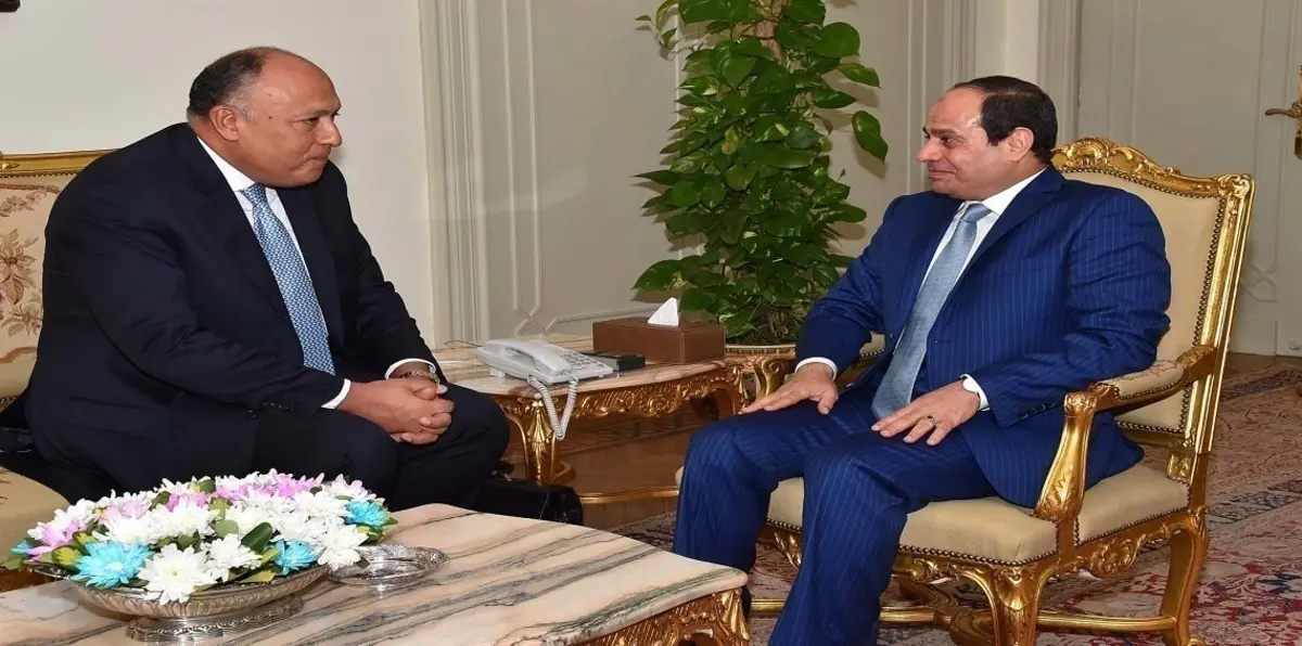 السيسي يؤكد لشكري أهمية استمرار التواصل مع أطراف أزمة سد النهضة‎