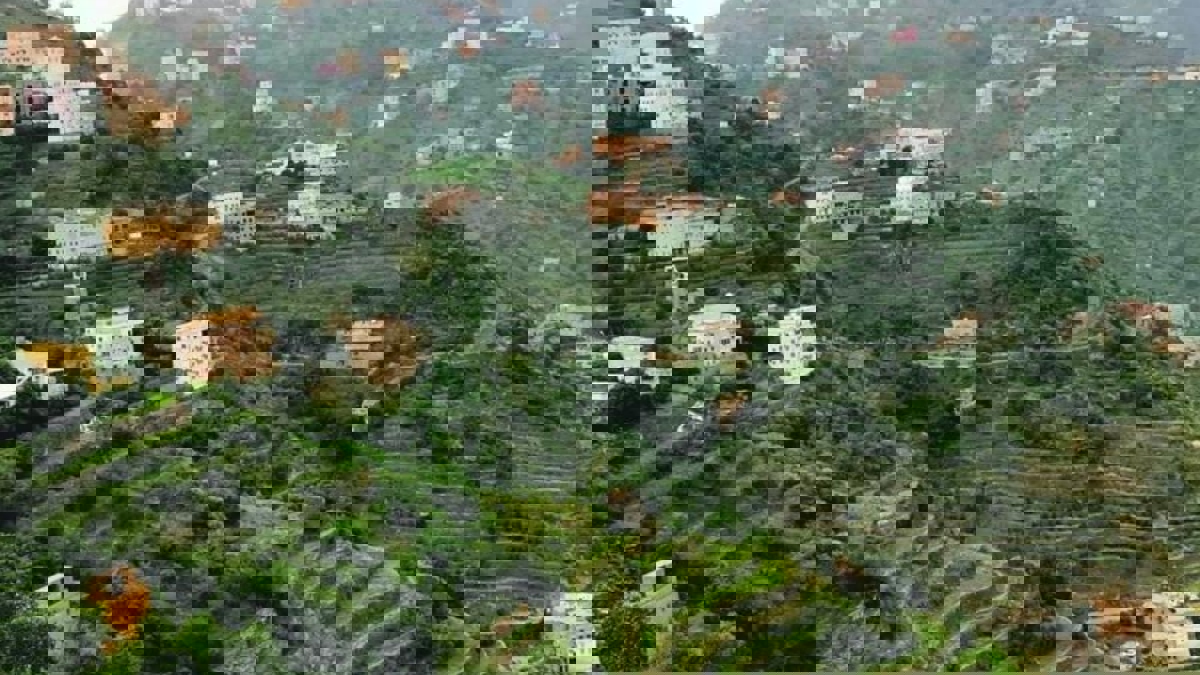 حجر منزلي يتمناه الجميع في السعودية.. تعرف عليه (فيديو وصور)