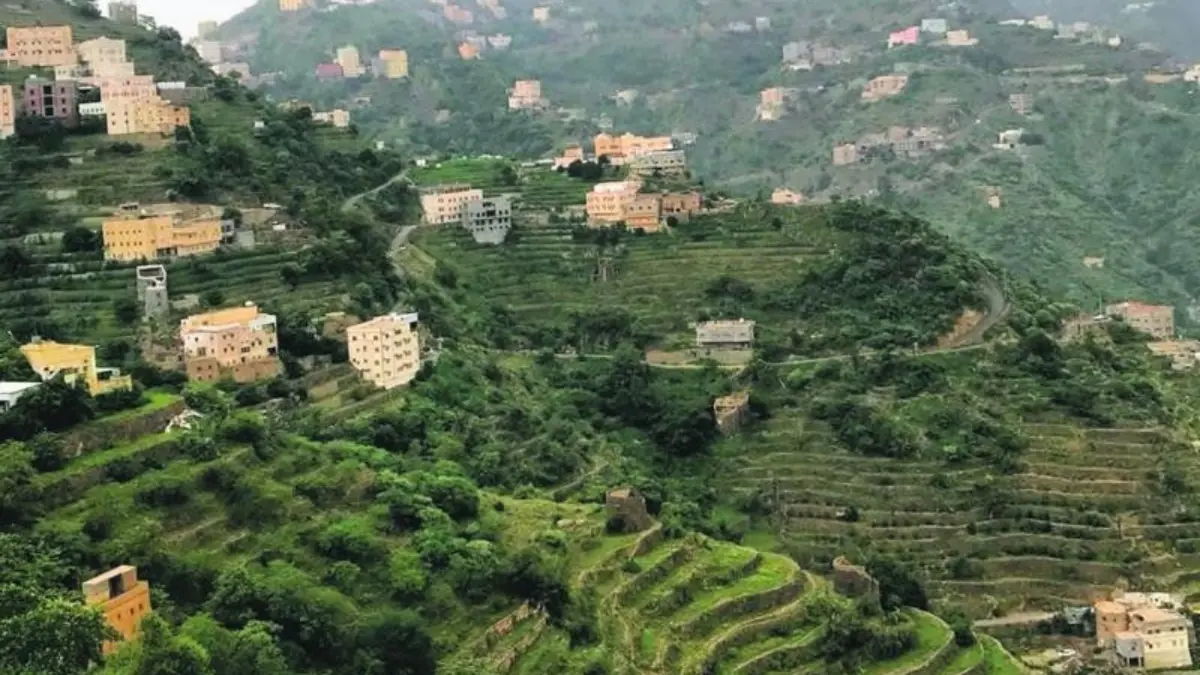 حجر منزلي يتمناه الجميع في السعودية.. تعرف عليه (فيديو وصور)