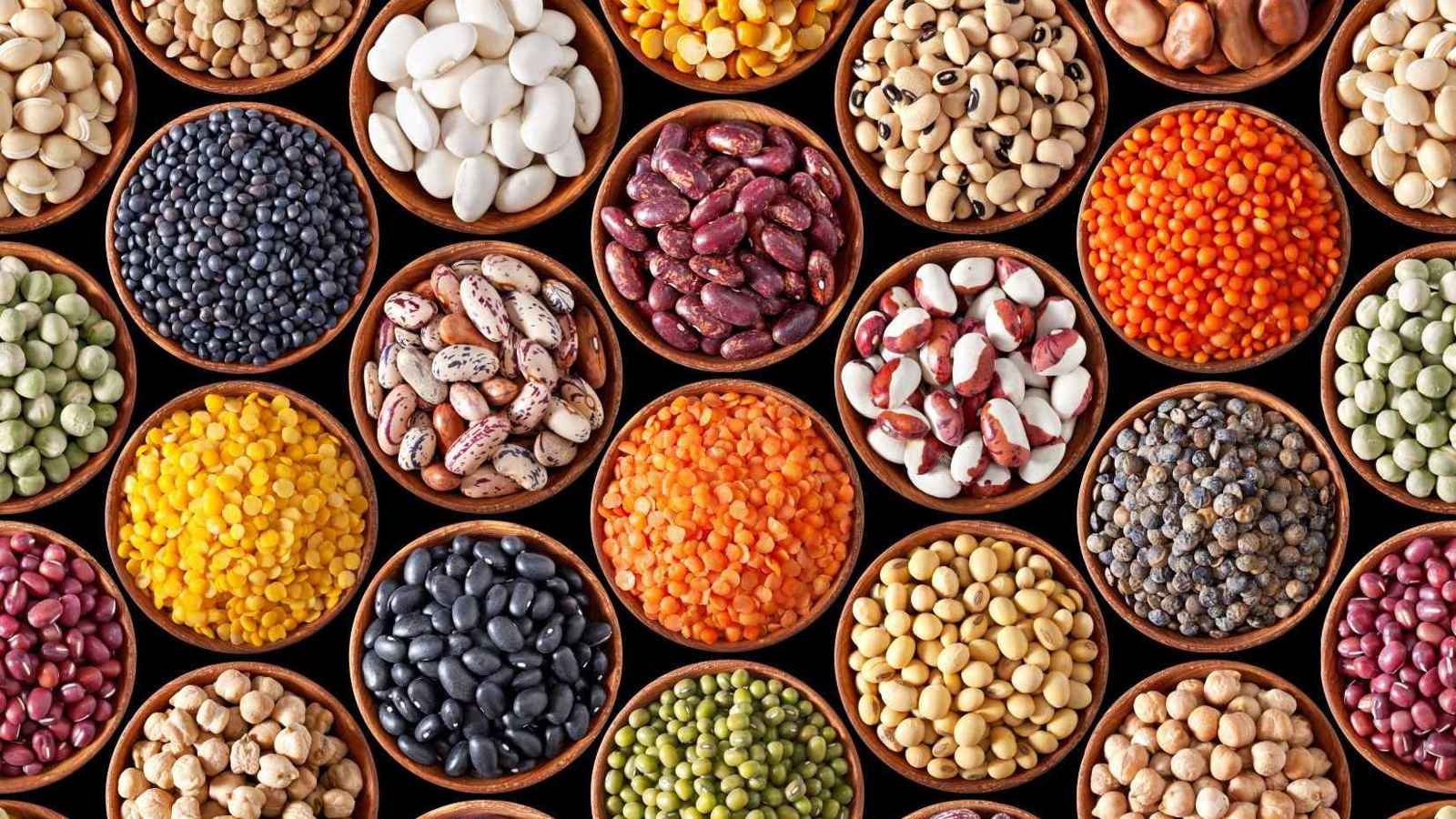 بأنواع ونكهات متعددة.. تعرف على "كنز فوائد" الفاصوليا