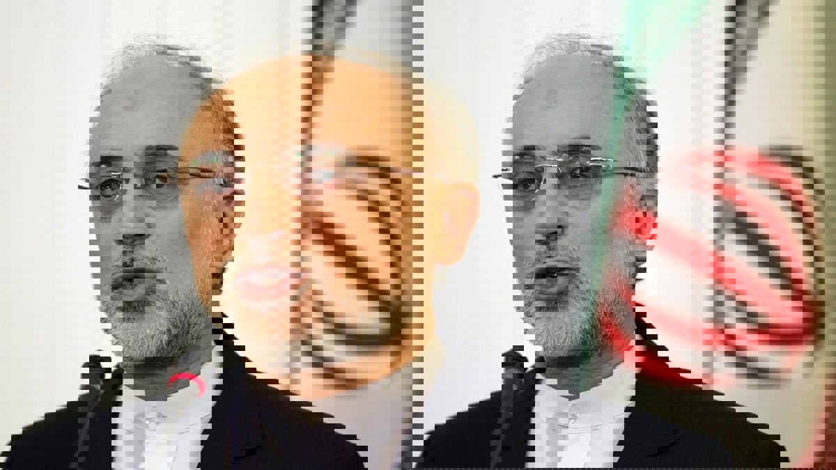 رئيس الطاقة الذرية الإيرانية يشكو قلة الميزانية ويطالب بمرونة التعامل مع المفتشين