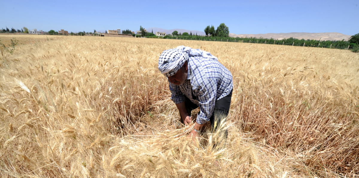 مسؤول أمريكي: هدنة سوريا خطوة أولى لـ"ترتيب أقوى"