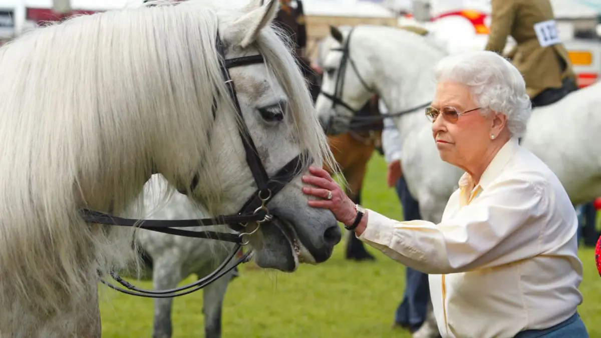 صحيفة: الملك تشارلز يعتزم بيع 12 حصان سباق ورثها من والدته 


