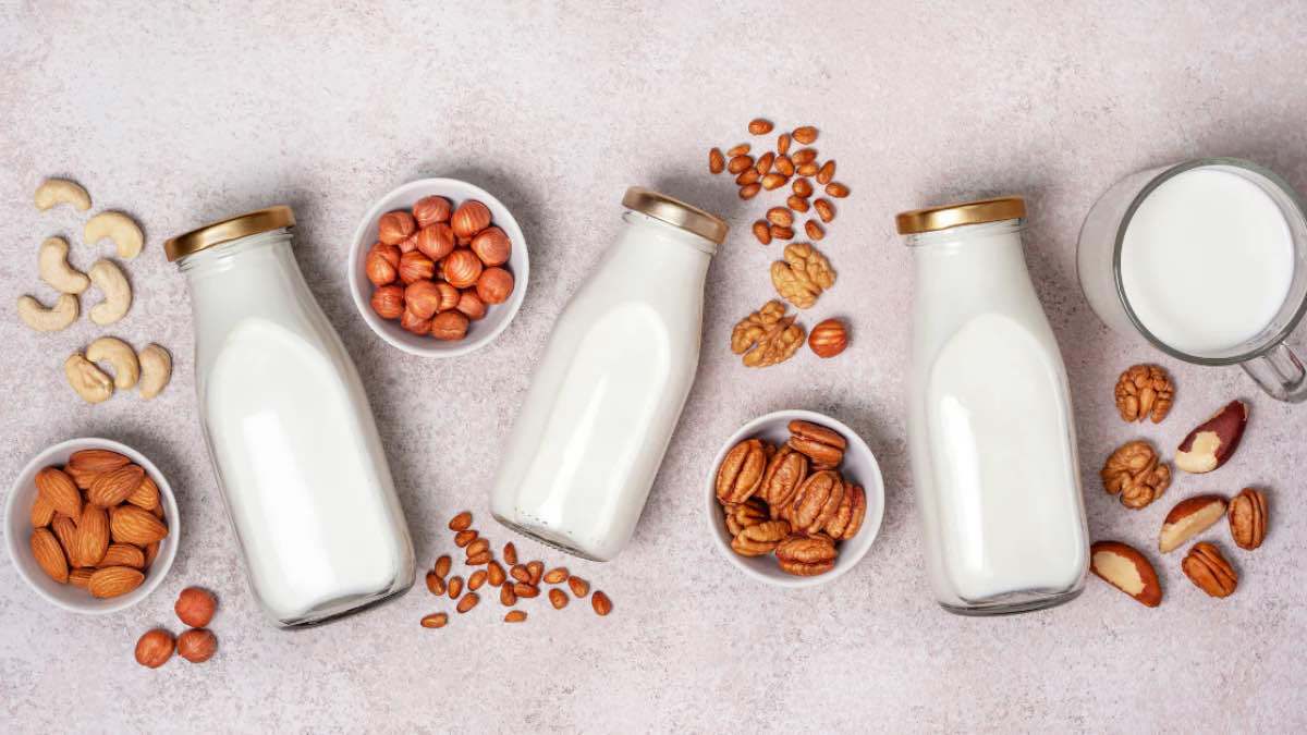 حليب الألبان أم الجوز.. أيهما الأفضل صحياً؟