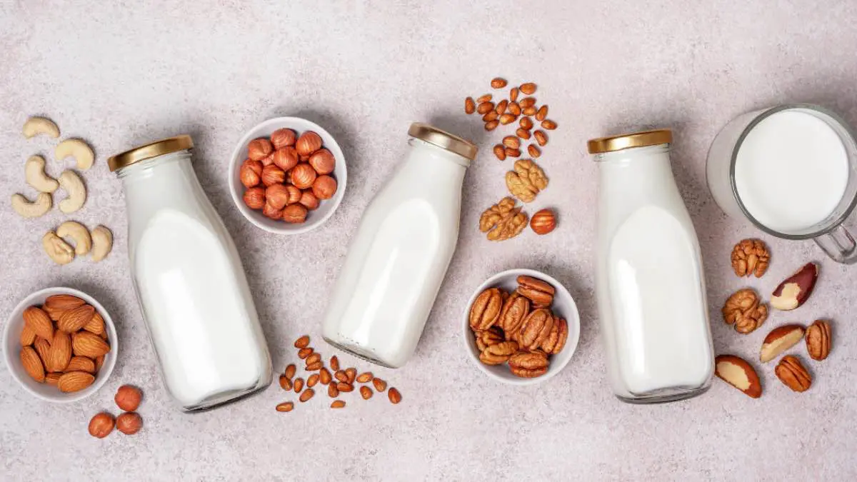حليب الألبان أم الجوز.. أيهما الأفضل صحياً؟