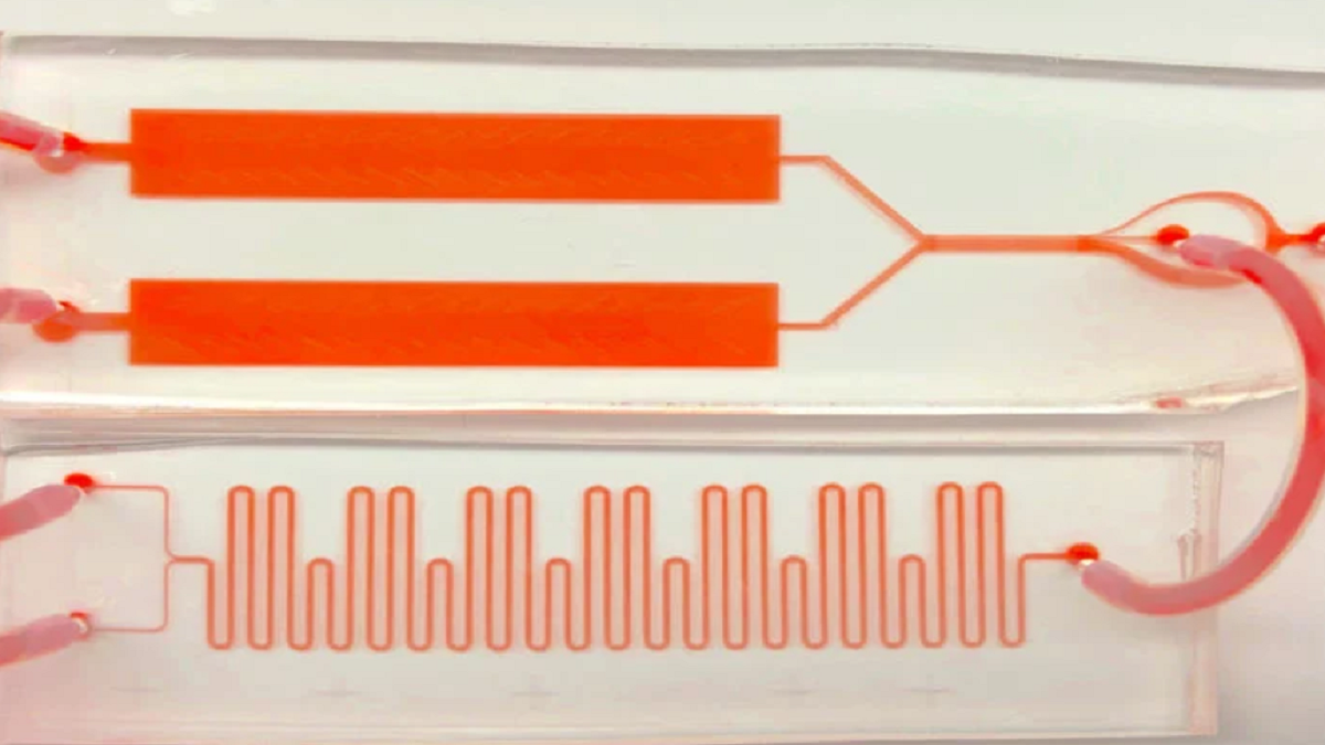 تطوير جهاز يفحص مكونات الدم معا في الوقت الحقيقي