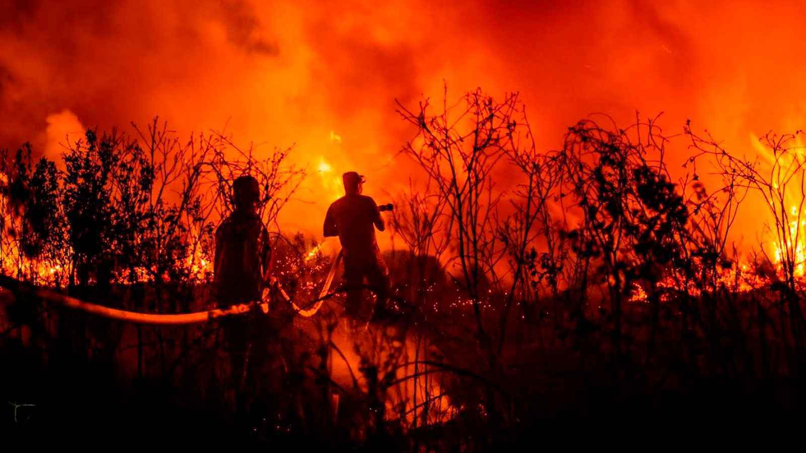 الجزائر.. إجلاء سكان بعد اندلاع حرائق في تيزي وزو وبجاية