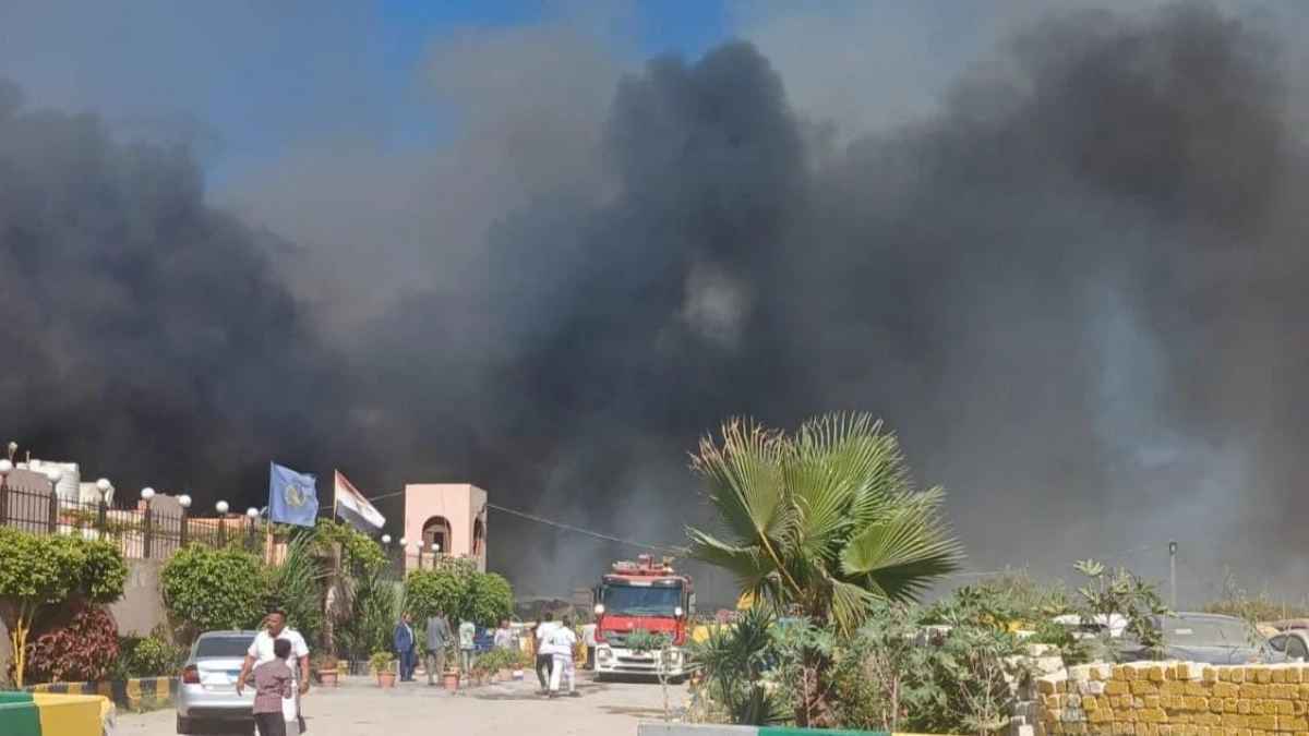 حريق ضخم يلتهم عشرات المركبات في الإسكندرية