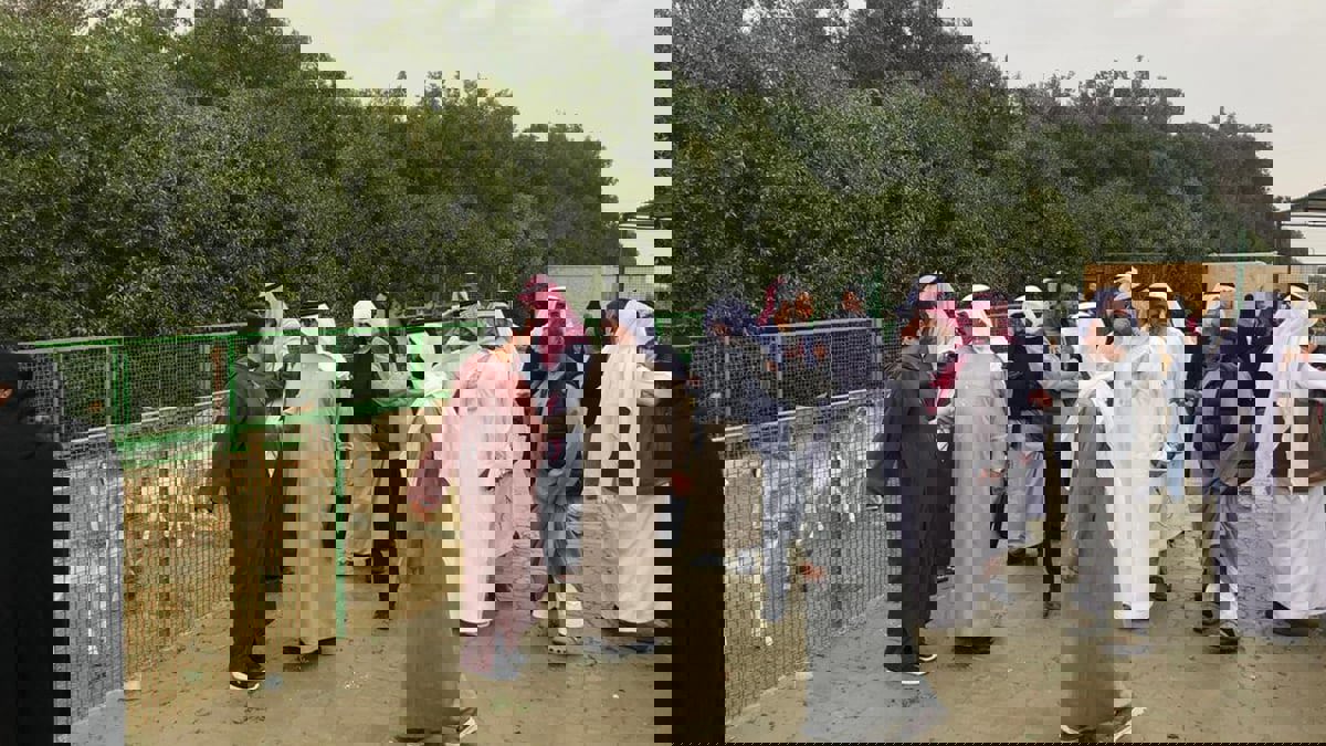 الكويت.. جدل واسع بعد قرار "إغلاق المزارع"