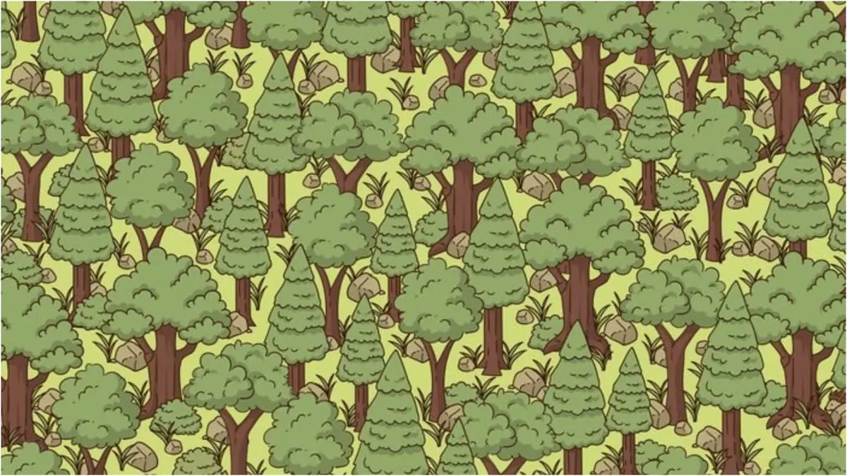 اختبر ذكاءك.. هل يمكنك العثور على القنفذ في دقيقة؟