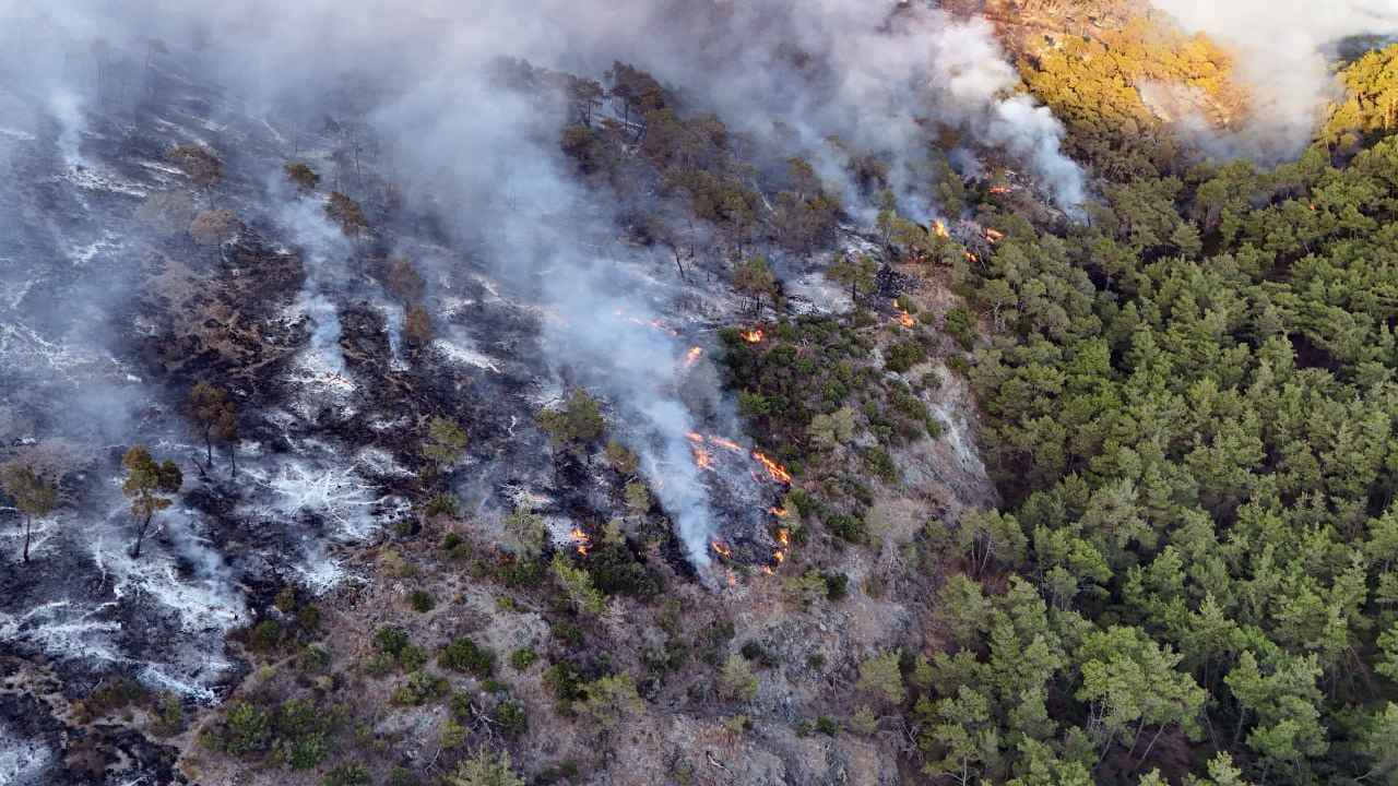 سوريا تعلن سيطرة "شبه كاملة" على حرائق اللاذقية
