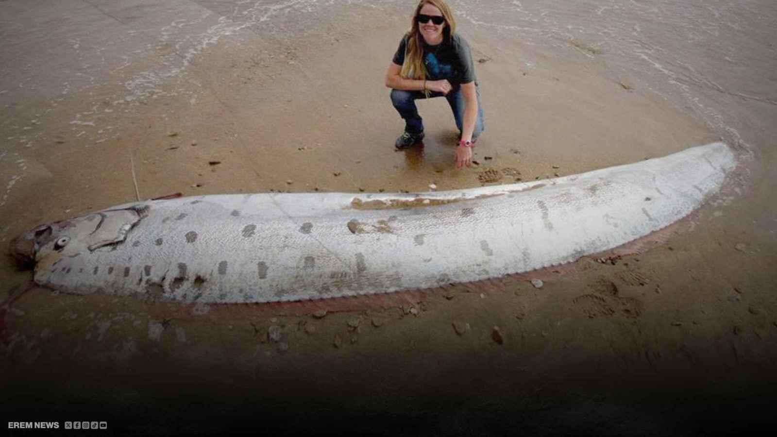 سمكة "يوم القيامة"