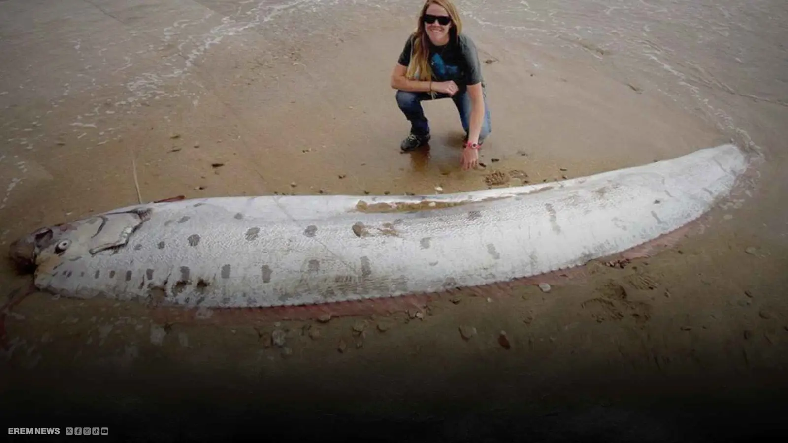 سمكة "يوم القيامة"