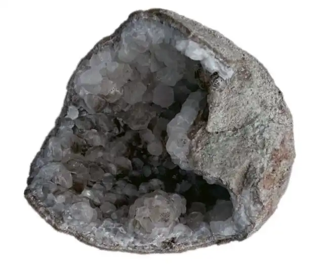 بيضة الديناصور