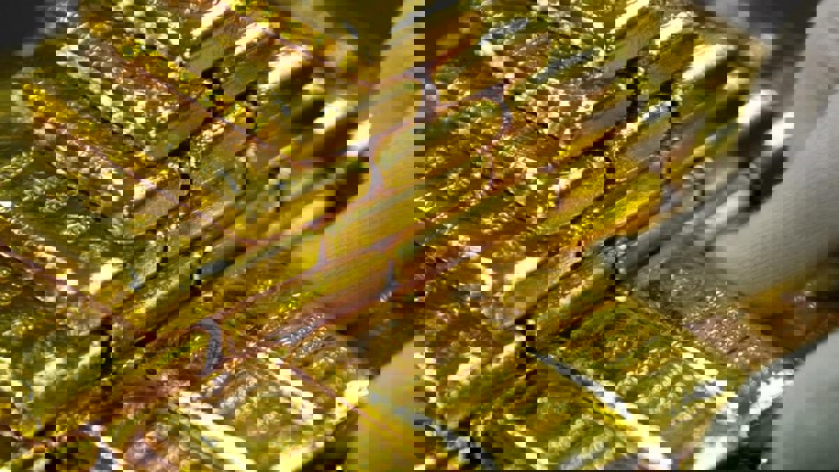 أسعار الذهب تستقر قرب أعلى مستوياتها في 10 أشهر