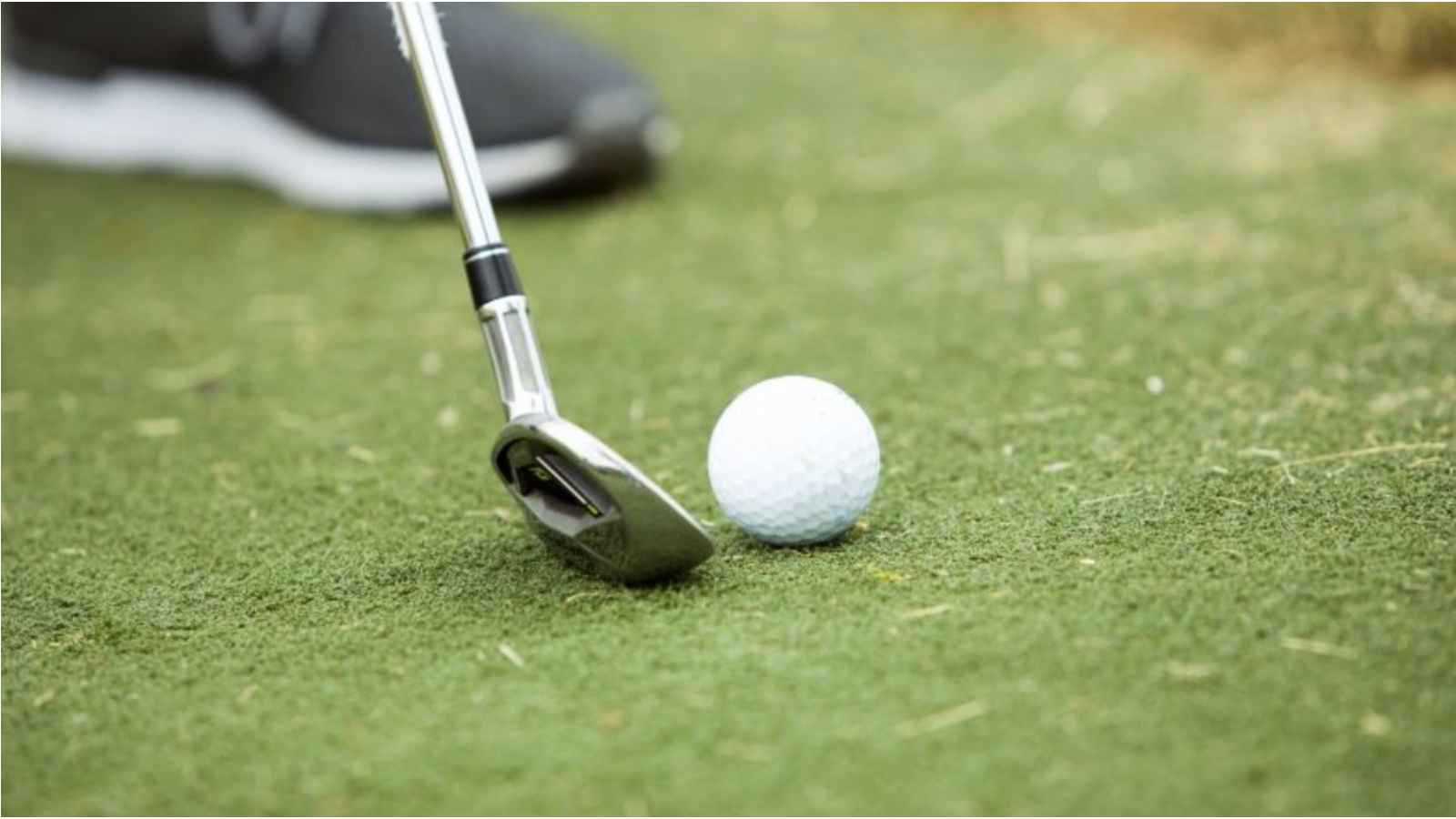 لاعب غولف يحصد 900 ألف دولار بفضل ذبابة (فيديو)