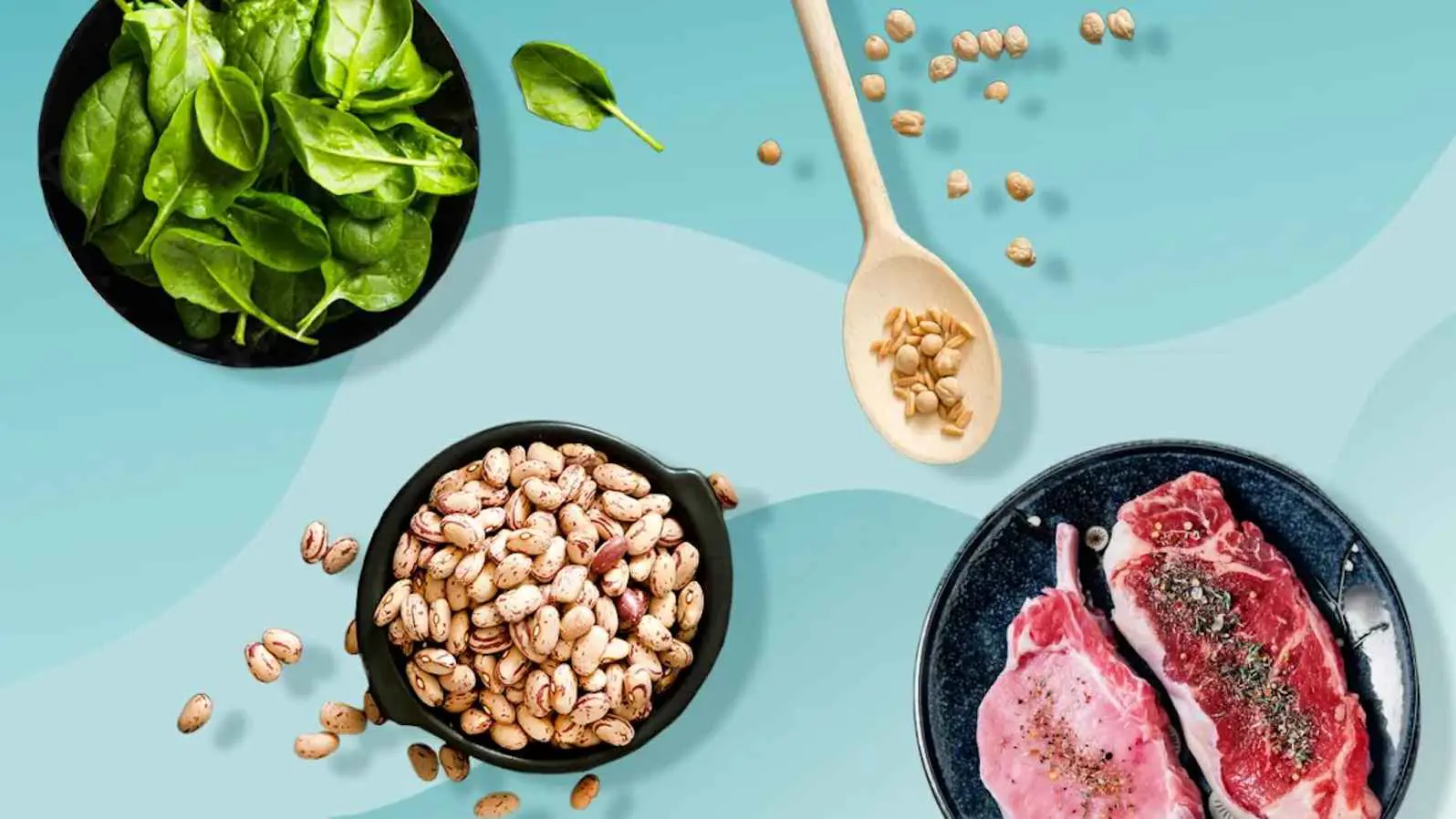 حقيقة أم خرافة؟.. "البروتين النباتي يضاهي الحيواني ويتفوق عليه"