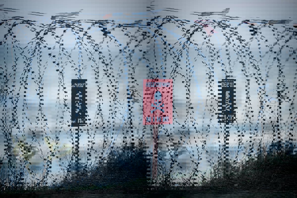 في ذكرى الحرب.. بريطانيا تدعم أوكرانيا "لتجديد مخزون ذخيرتها"