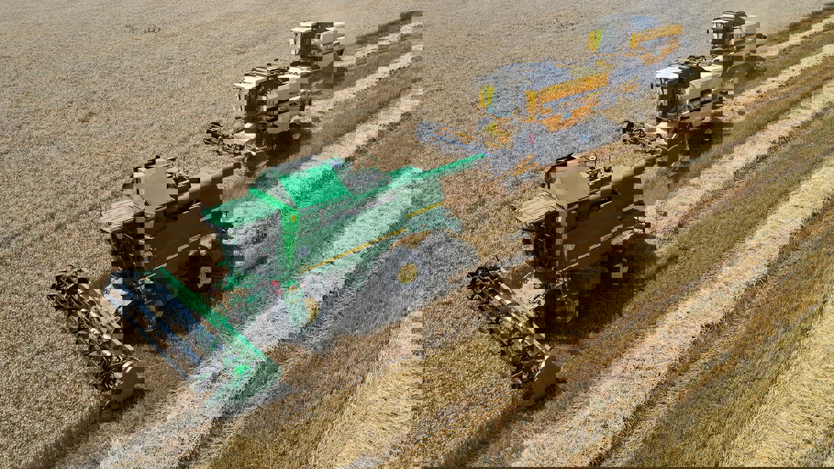 تقرير: أزمة الغذاء تدق أبواب "القارة العجوز"