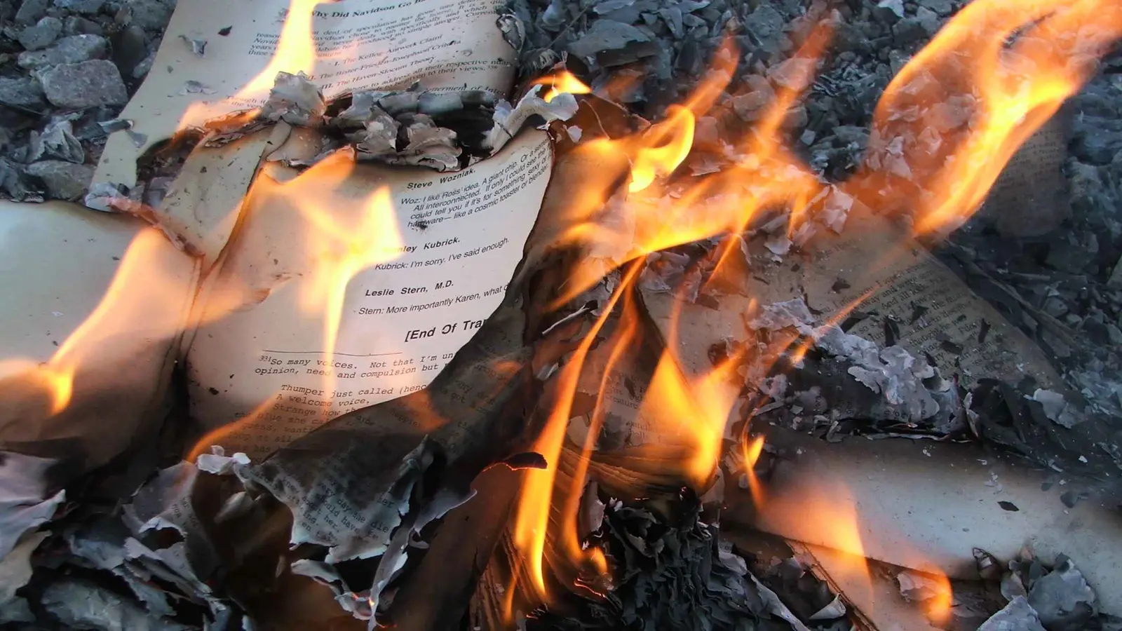 الحكومة الهولندية ترفض حظر حرق الكتب الدينية