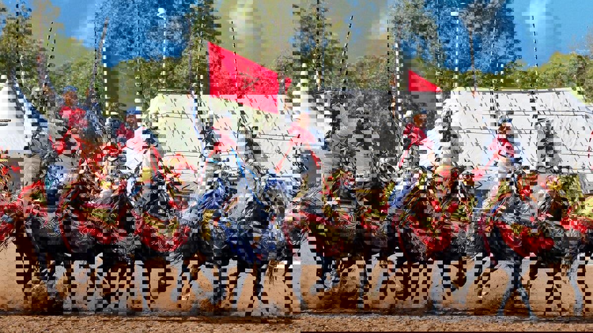 "التبوريدة" بالمغرب.. فن أصيل يسطع نجمه في المهرجانات والمواسم الشعبية‎‎