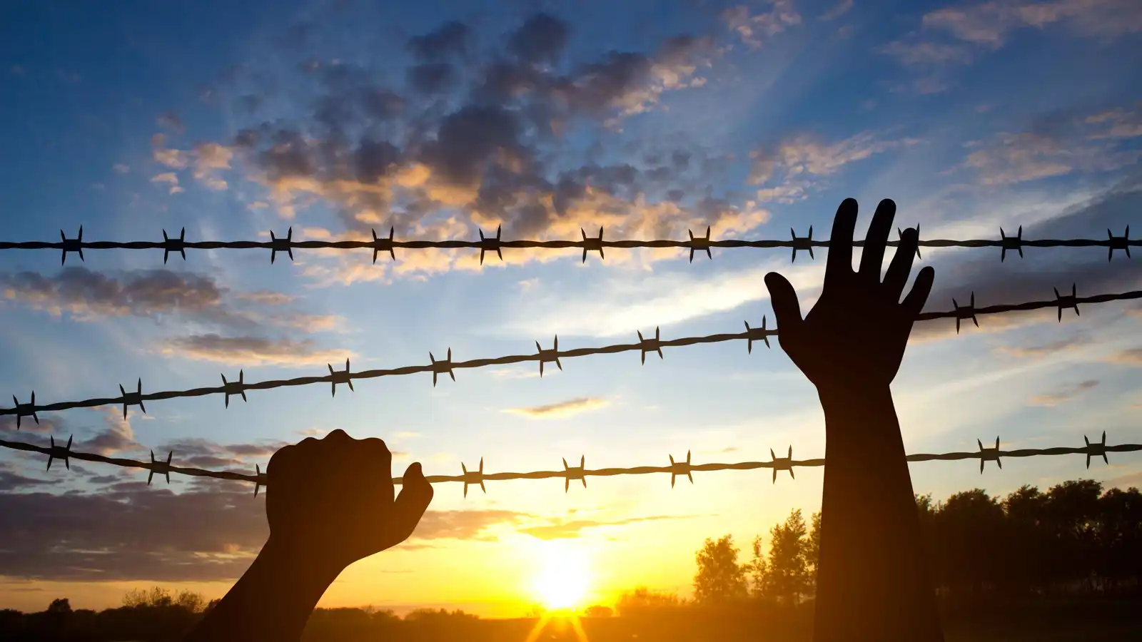 تركيا.. سجين فار ينفذ هجومًا مسلحًا ويسقط قتلى وجرحى (فيديو)