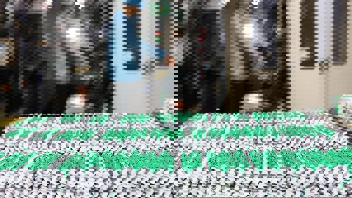 استخدام عشبة سامة في تصنيع بطاريات مستدامة ومنخفضة التكلفة