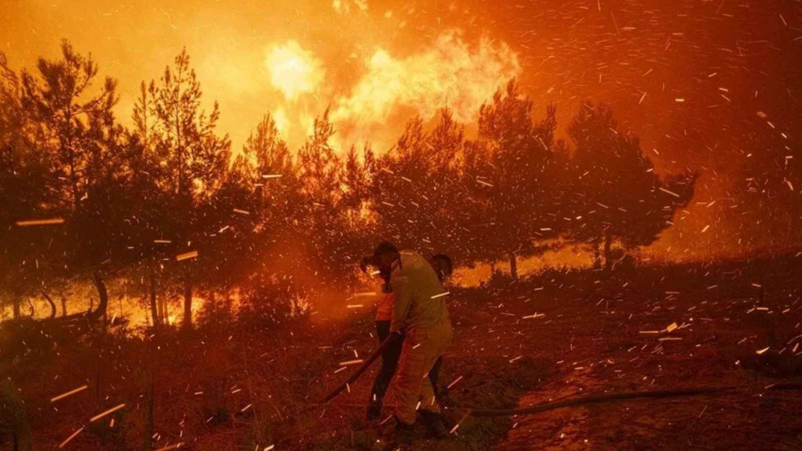 3800 خلال أشهر.. جحيم الحرائق يجتاح نحو نصف محافظات تركيا