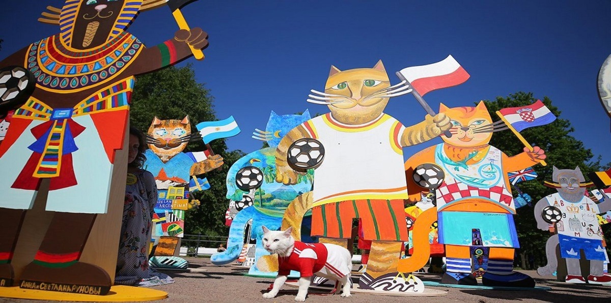 روسيا تدرب القط "أخيل" على توقع نتائج كأس العالم (صورة)