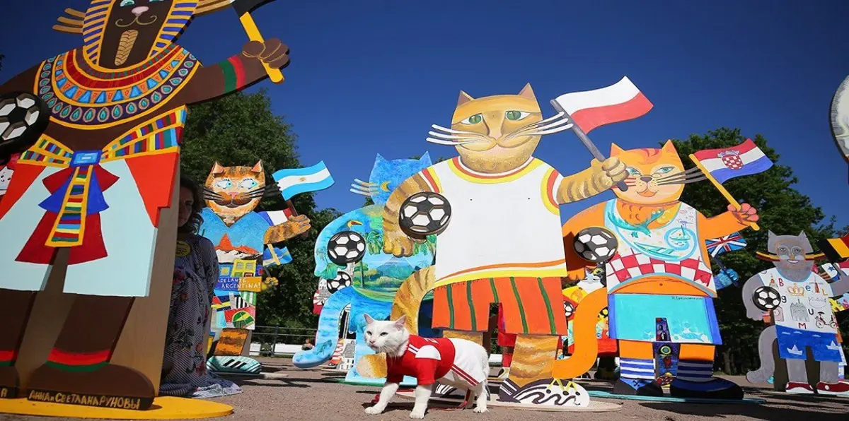 روسيا تدرب القط "أخيل" على توقع نتائج كأس العالم (صورة)