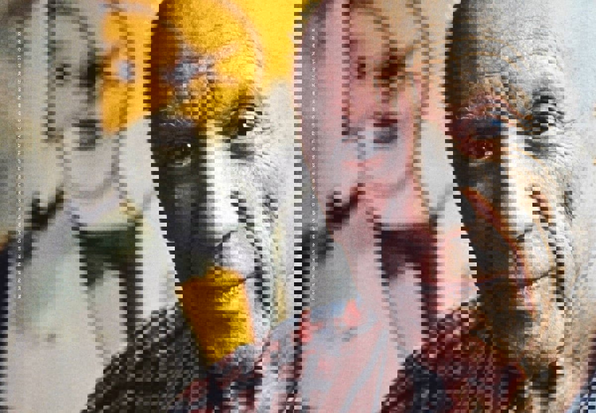 دالي وعقدة بيكاسو