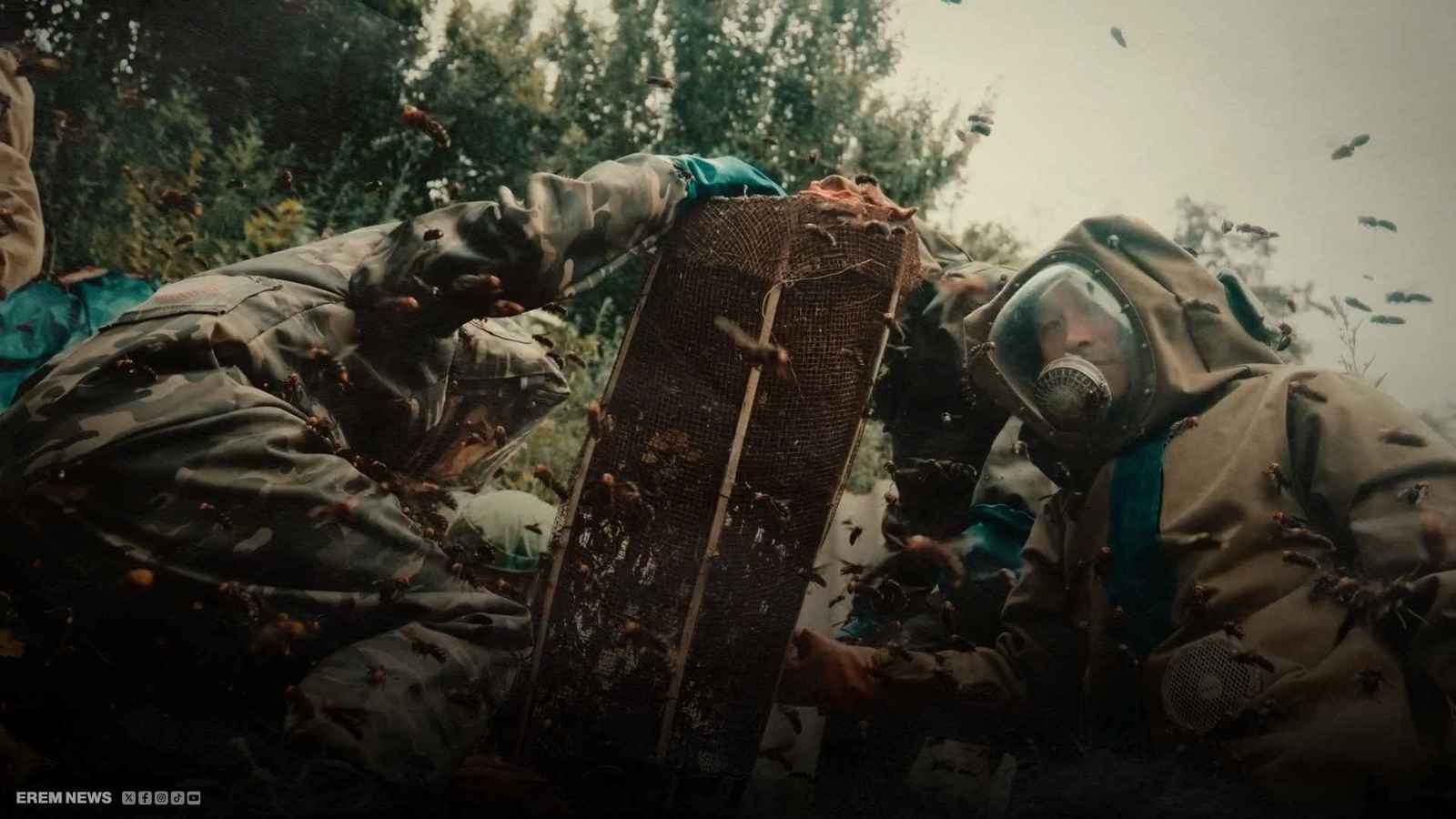 " الحشرات القاتلة".. مخلوقات طورها البشر لأسلحة دمار شامل (فيديو إرم)