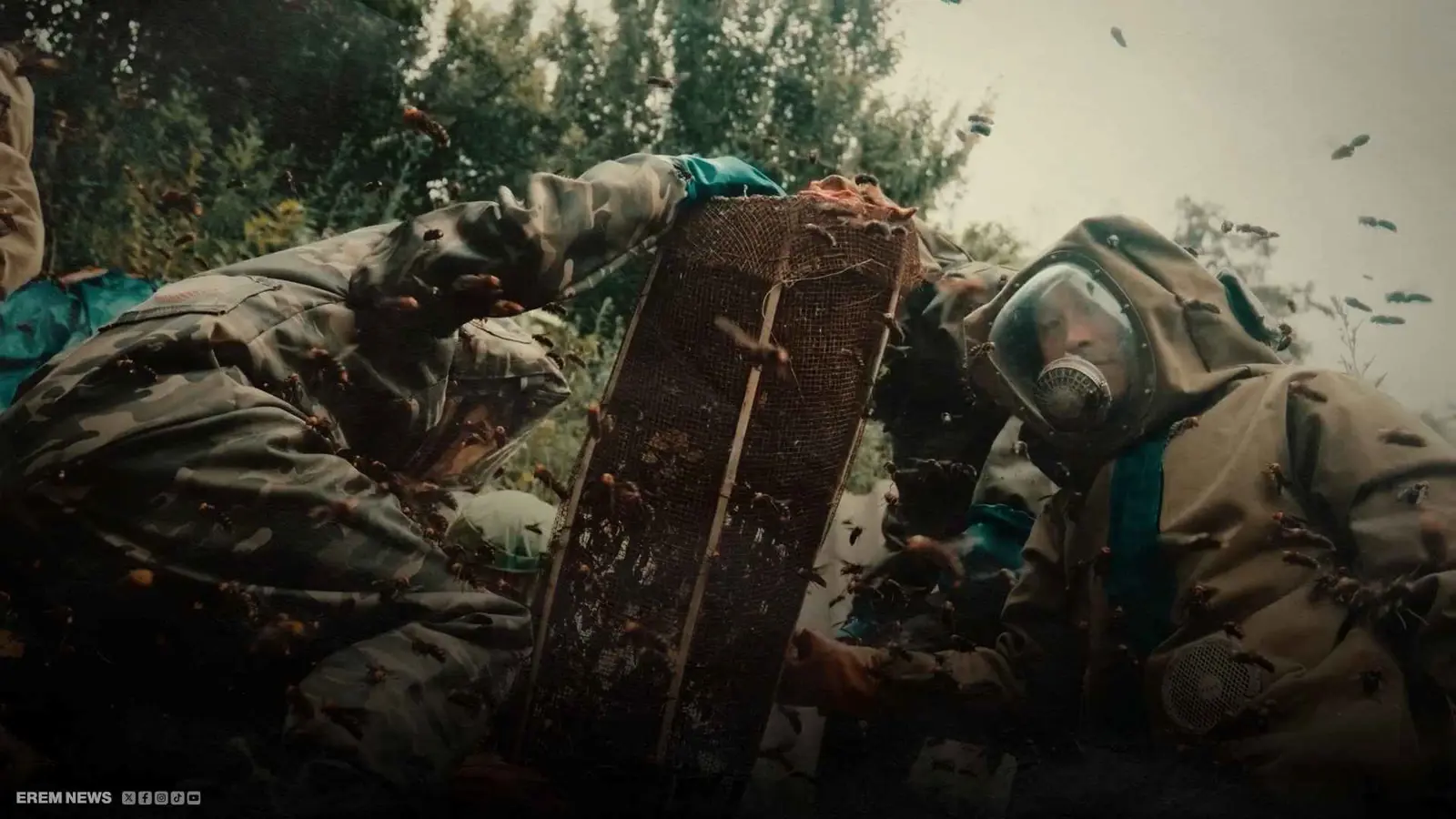 " الحشرات القاتلة".. مخلوقات طورها البشر لأسلحة دمار شامل (فيديو إرم)